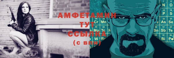 гидра Гусь-Хрустальный