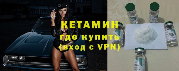 прущие грибы Гусиноозёрск