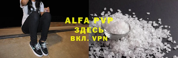 прущие грибы Гусиноозёрск