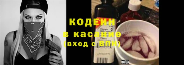 гидра Гусь-Хрустальный