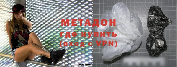 прущие грибы Гусиноозёрск