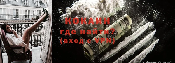 прущие грибы Гусиноозёрск
