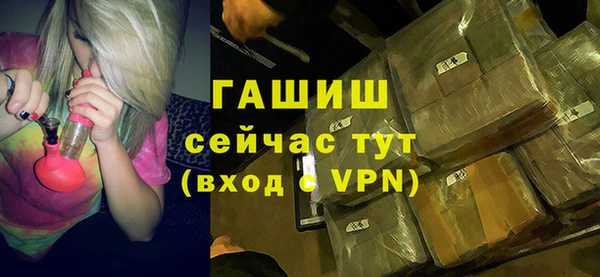 прущие грибы Гусиноозёрск