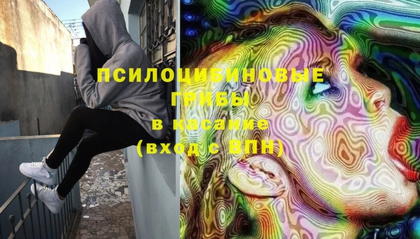 кокс Дмитриев